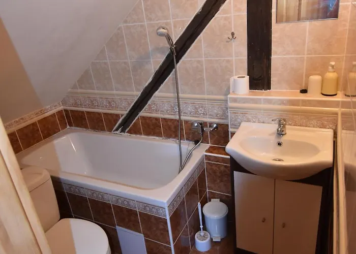 Pensjonat Kavarna Lucie S Ubytovanim Horní Těrlicko